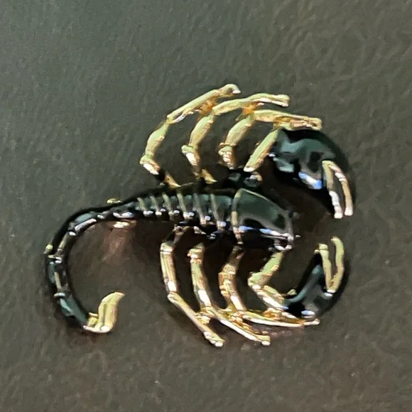 Beautiful SCORPION Brooch❣️ - Picture 4 of 5